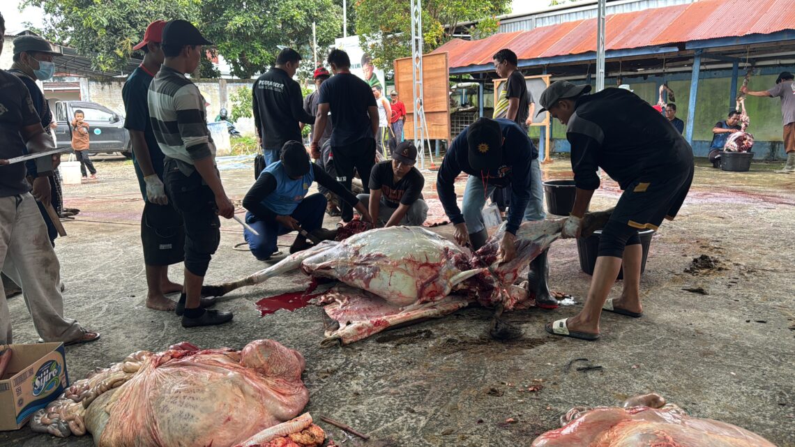 Masjid Al Ikhlas Muhammadiyah Bontang Sembelih 14 Sapi dan 2 Kambing